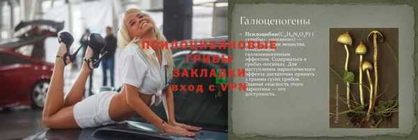 ГАЛЛЮЦИНОГЕННЫЕ ГРИБЫ Алексин