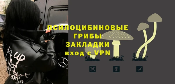 PSILOCYBIN Алексеевка