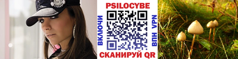Псилоцибиновые грибы мицелий  ссылка на мегу онион  Карабулак 